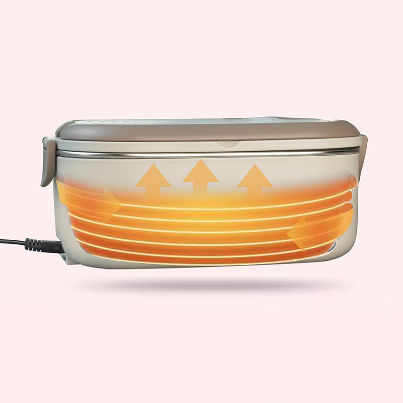 220V 110V Electric Lunch Box S - Baby Food Warmer Portable review and price